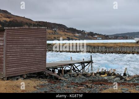 Schwere Packeis füllt den Hafen, Ferryland, Neufundland, Labrador, Kanada Stockfoto