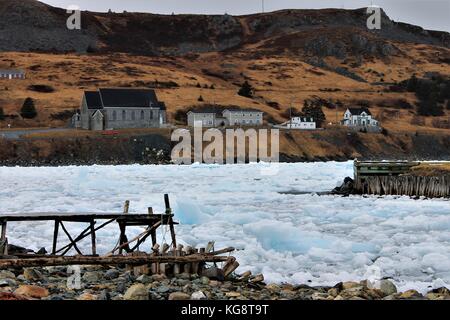 Schwere Packeis füllt den Hafen, Ferryland, Neufundland, Labrador, Kanada Stockfoto