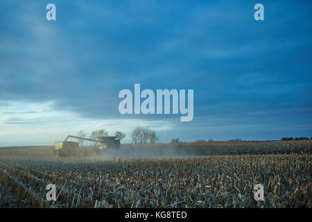 Die Bauern, die in der Dämmerung mit Mähdrescher ernten ein Feld von Mais unter einem dunklen Wolkenhimmel über frisch Stoppeln gesehen zu Stockfoto