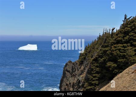 Eisberg in der Bucht, Torbay, Neufundland Labrador Stockfoto