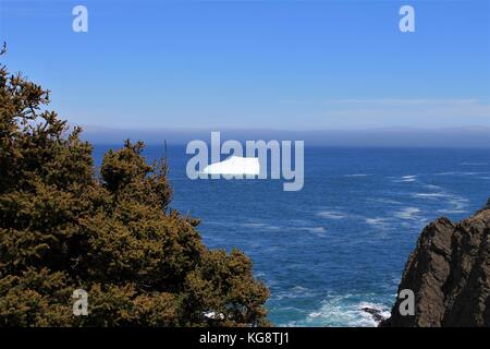 Eisberg in der Bucht, Torbay, Neufundland Labrador Stockfoto