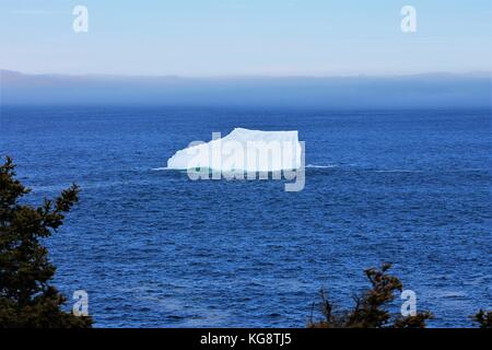 Eisberg in der Bucht, Torbay, Neufundland Labrador Stockfoto