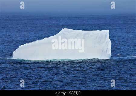 Eisberg im Atlantischen Ozean, Logie Bay-Middle Cove-Outer Cove, Neufundland Labrador Stockfoto