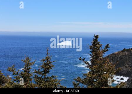 Eisberg in der Bucht, Torbay, Neufundland Labrador Stockfoto