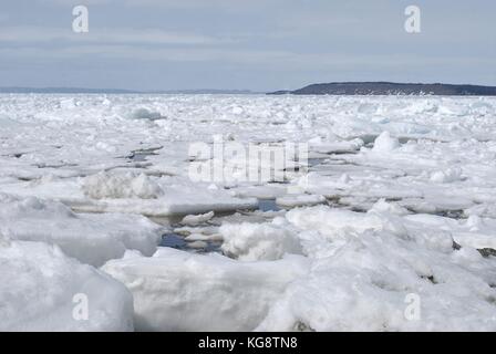 Pack-Eis in der Bucht, Conception Bay South, Neufundland Labrador Stockfoto