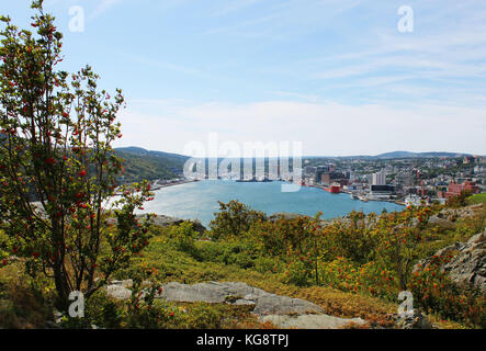 Panoramablick auf St. John's Hafen, und die umliegende Stadt, vom Wanderweg auf dem Signal Hill, St. John's, Neufundland. Stockfoto