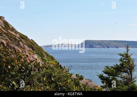 Mit Blick über das Meer in Richtung Freshwater Bay und Cape Spear vom Wanderweg um den Signal Hill, St. John's, Neufundland. Stockfoto