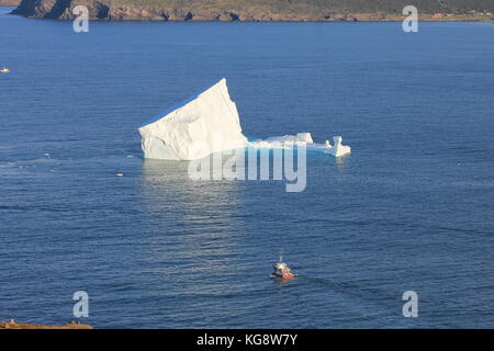 Schiff nähert sich einem Eisberg in den Atlantischen Ozean, nur außerhalb der verengt, St John's Hafen, St. John's, Neufundland und Labrador. Stockfoto