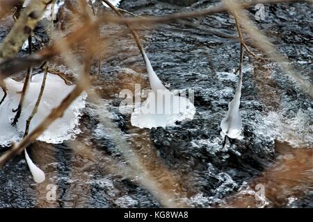 Eisformationen, durch Wasser aus dem Fluss gebildet, die auf die Spitzen der Zweige über die Virginia Fluss hängen. Stockfoto