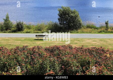 Parkbank Lakeside in quidi vidi See, St. John's, Neufundland und Labrador, Kanada. wilde Blumen im Vordergrund, gemähtes Feld, Wanderweg Stockfoto