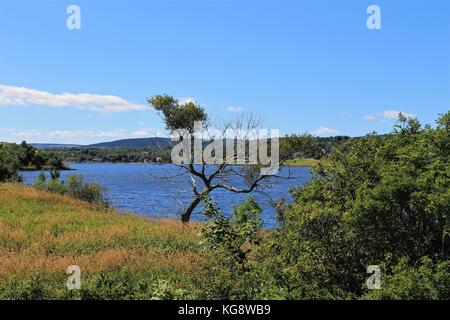 Blick über quidi vidi See, St. John's, Neufundland und Labrador, Kanada. üppigem Laub Lakeside, blaues Wasser und Himmel. Stockfoto