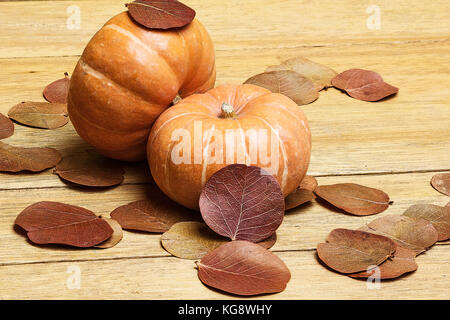 Kürbis und Blätter im Herbst Stockfoto