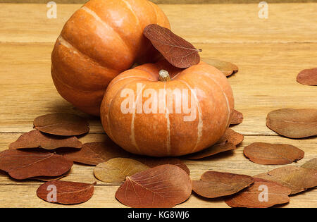 Kürbis und Blätter im Herbst Stockfoto