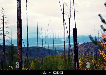 Einen abendlichen Spaziergang mit schöner Aussicht auf Myra Provincial Park im Herbst Saison. Eine der besten Wanderung in Kelowna, British Columbia. Stockfoto