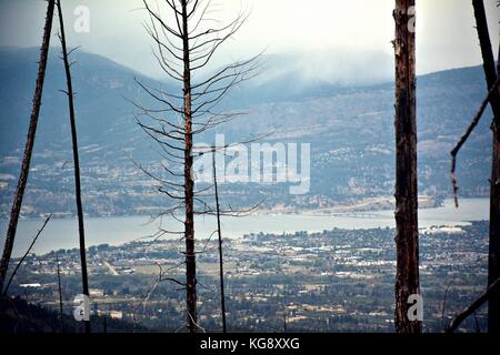 Einen abendlichen Spaziergang mit schöner Aussicht auf Myra Provincial Park im Herbst Saison. Eine der besten Wanderung in Kelowna, British Columbia. Stockfoto