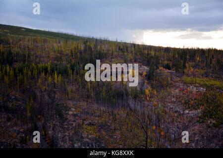 Einen abendlichen Spaziergang mit schöner Aussicht auf Myra Provincial Park im Herbst Saison. Eine der besten Wanderung in Kelowna, British Columbia. Stockfoto