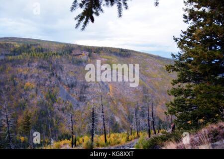 Einen abendlichen Spaziergang mit schöner Aussicht auf Myra Provincial Park im Herbst Saison. Eine der besten Wanderung in Kelowna, British Columbia. Stockfoto