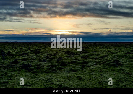 Sonnenuntergang über Island Landschaft mit grünen Moos während der Goldenen Stunde Stockfoto