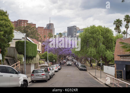 Jacaranda Bäume mcdougall Straße in Kirribilli, wo Touristen strömen zu den Fotos von den violetten Bäume, Sydney, NSW, Australien Stockfoto