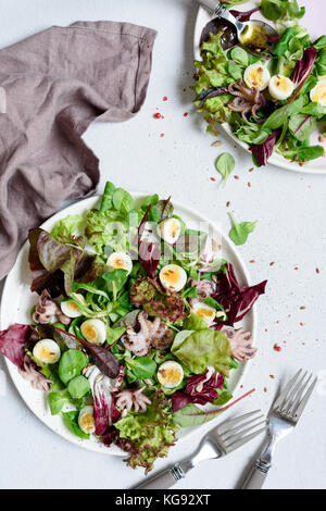 Gesund Gourmet Salat mit Baby Tintenfisch, Wachtelei, Olivenöl und grünem Salat Blatt auf weiße Platte. Tabelle Ansicht von oben Stockfoto