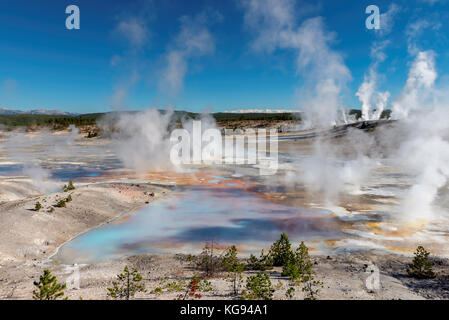Spektakuläre norris Geyser Basin im Yellowstone National Park Stockfoto