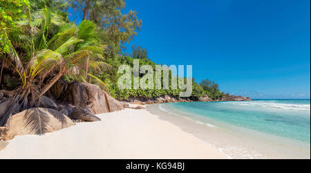 Unberührter Strand auf der tropischen Insel. Stockfoto