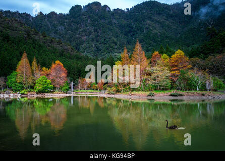 Mingchi Wald Naherholungsgebiet in Yilan, Taiwan Stockfoto