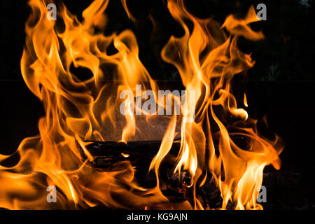 Brennholz in Barbecue, Nahaufnahme, geschossen von Brennholz Selbstentzündlichkeit Stockfoto
