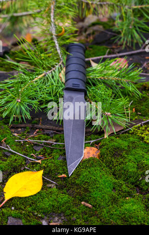 Schwarz taktische Messer auf einem Zweig Fichte. Vertikale erschossen. Herbst im Wald. Stockfoto