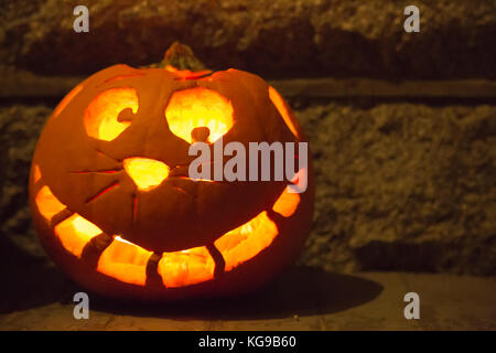 Smiling cat face geschnitzten Halloween Kürbis Stockfoto