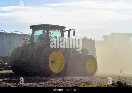 Staub von gerade geerntete Mais Traktoren, Mähdrescher und Lkw während der Ernte umgibt auf einem großen Bauernhof im Nordosten von Illinois in der Nähe von Burlington, USA. Stockfoto