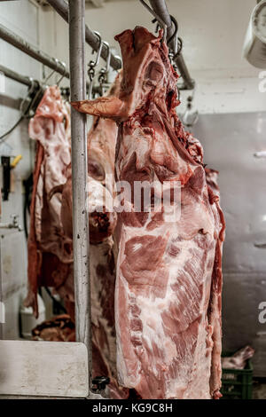 Schwein hängen Stockfoto