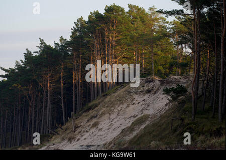 Natac wielka, Polen. 5 Nov, 2017. Sonnigen Tag an der Ostsee in Natac wielka, Polen. 5 Nov, 2017. © wojciech Strozyk/Alamy Stock Photo Credit: Wojciech Stróżyk/Alamy leben Nachrichten Stockfoto