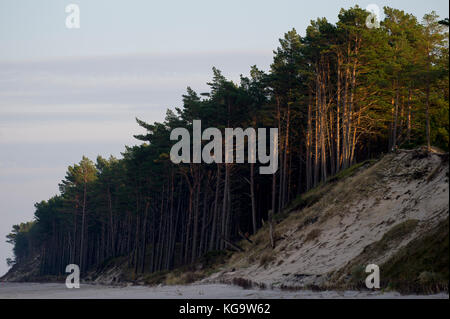 Natac wielka, Polen. 5 Nov, 2017. Sonnigen Tag an der Ostsee in Natac wielka, Polen. 5 Nov, 2017. © wojciech Strozyk/Alamy Stock Photo Credit: Wojciech Stróżyk/Alamy leben Nachrichten Stockfoto