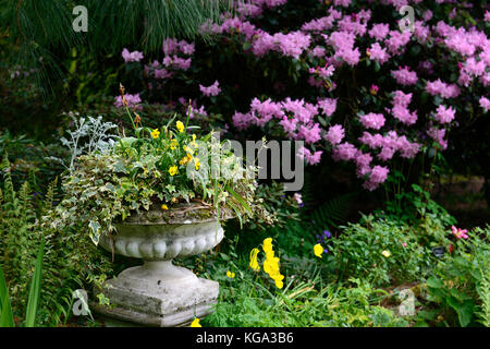 Altamont Gardens, Corona im Norden, weiß Urne, ornamentalen Pflanzmaschine, Azalee violett, Carlow, Garten, Garden Trail, Carlow Garden Trail, RM Floral Stockfoto