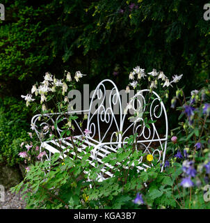 Altamont Gardens, Corona im Norden, weiß, Akelei, Bügeleisen Sitz, Sitzbank, Sitzgelegenheiten, Metall, Carlow, Garten, Garden Trail, Carlow Garden Trail, RM Floral Stockfoto