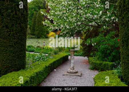 Baume involucrata, Taube, Taschentuch Baum, weiß, Blume, Blumen, blühen, baum, bäume, Zierpflanzen, Altamont Gardens, Corona Nord, Carlow, Stockfoto