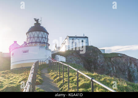 Foto des Leuchtturms in St Abbs Head, auf der Ostseite von Schottland - Großbritannien Stockfoto