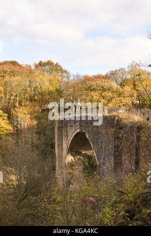 Herbst Blick auf Causey Arch, die älteste erhaltene Eisenbahnbrücke, Co Durham, England, Großbritannien Stockfoto