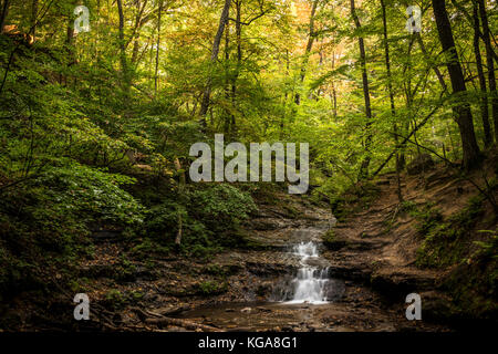 Sommerwasserfall im Parfrey's Glen State Natural Area in der Nähe von Baraboo, Wisconsin. Stockfoto