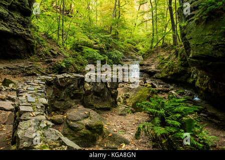 Sommerwasserfall im Parfrey's Glen State Natural Area in der Nähe von Baraboo, Wisconsin. Stockfoto