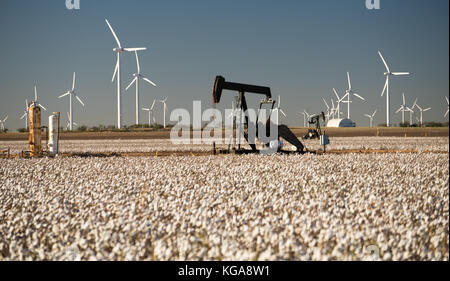 Die Ölförderung in einem ausgereiften Cotton Field Stockfoto