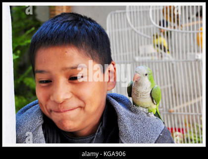 MEXIKANISCHER JUNGE UND SEIN PET-PAPAGEI Stockfoto