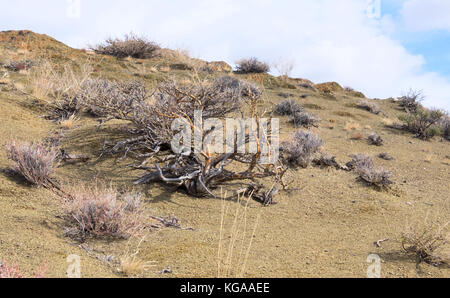 Berge in Zentralasien Stockfoto