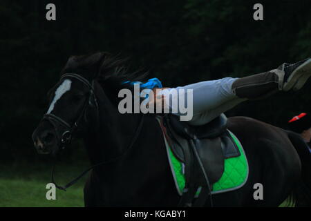 Horse-racing. Die Leistung der Kosaken am Rande der Stadt Stockfoto