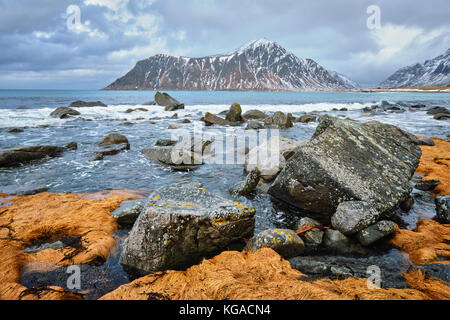 Felsige Küste von Fjord in Norwegen Stockfoto