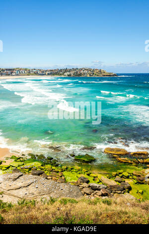 Sydneys weltberühmten Bondi Beach in New South Wales, Australien, an einem herrlichen Sommer Stockfoto