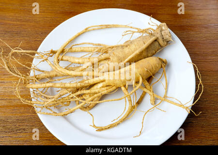 Koreanische Ginseng frisch auf dem Teller Stockfoto