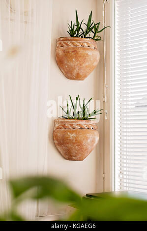 Aloe vera drinnen in der mexikanischen Töpfe an der Wand Stockfoto