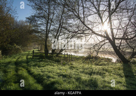 Frosty Herbst Landschaft des Flusses Wey bei Thundry Wiesen in Surrey, Großbritannien Stockfoto